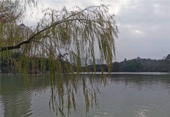 福州西湖公园好不好玩